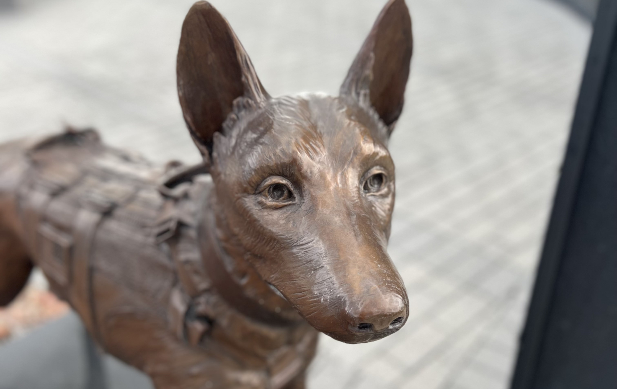 Views of the Special Operations Memorial